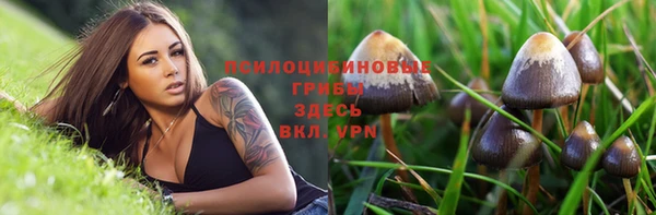 мяу мяу мука Нязепетровск