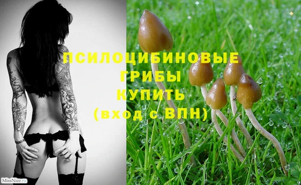 гашик Нягань