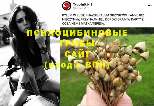 гашик Нягань
