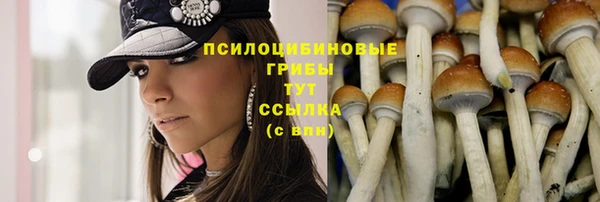 гашик Нягань